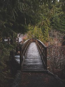 Preview wallpaper bridge, wooden, river, trees, nature