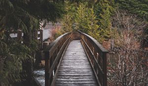 Preview wallpaper bridge, wooden, river, trees, nature