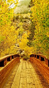 Preview wallpaper bridge, wooden, trees, autumn