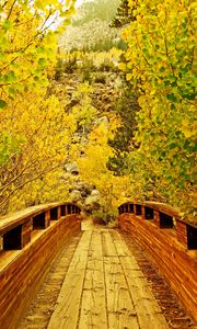 Preview wallpaper bridge, wooden, trees, autumn