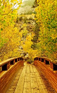 Preview wallpaper bridge, wooden, trees, autumn