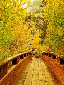 Preview wallpaper bridge, wooden, trees, autumn