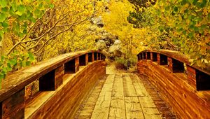 Preview wallpaper bridge, wooden, trees, autumn