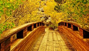 Preview wallpaper bridge, wooden, trees, autumn