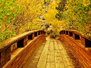 Preview wallpaper bridge, wooden, trees, autumn