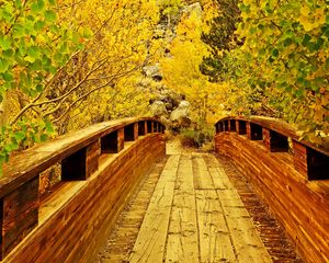 Preview wallpaper bridge, wooden, trees, autumn