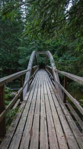 Preview wallpaper bridge, wooden, trees, branches, forest