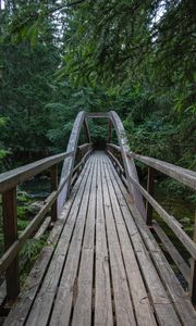 Preview wallpaper bridge, wooden, trees, branches, forest