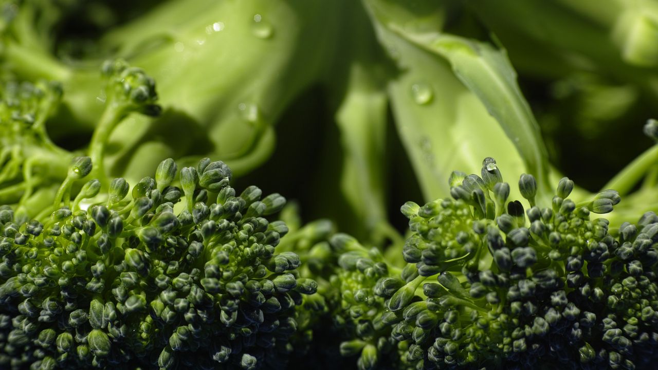 Wallpaper broccoli, cabbage, vegetable, close-up