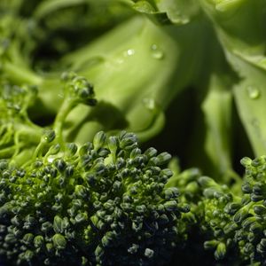 Preview wallpaper broccoli, cabbage, vegetable, close-up