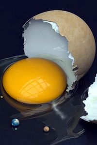 Preview wallpaper broken, egg yolk, egg, shell