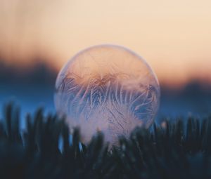 Preview wallpaper bubble, ball, ice, macro