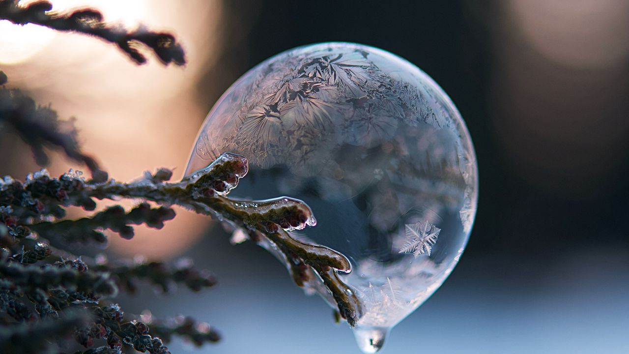 Wallpaper bubble, branch, ice, macro