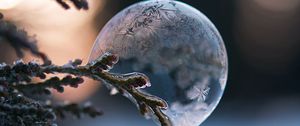 Preview wallpaper bubble, branch, ice, macro