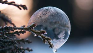 Preview wallpaper bubble, branch, ice, macro