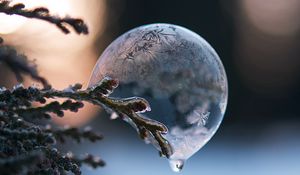 Preview wallpaper bubble, branch, ice, macro