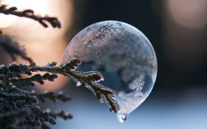 Preview wallpaper bubble, branch, ice, macro