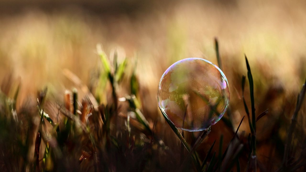 Wallpaper bubble, moisture, grass, reflections
