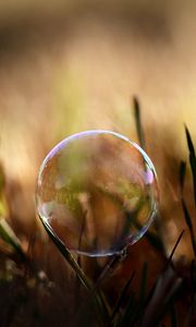 Preview wallpaper bubble, moisture, grass, reflections