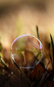 Preview wallpaper bubble, moisture, grass, reflections