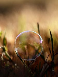 Preview wallpaper bubble, moisture, grass, reflections