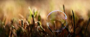 Preview wallpaper bubble, moisture, grass, reflections