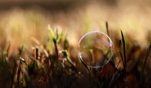 Preview wallpaper bubble, moisture, grass, reflections