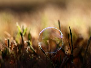 Preview wallpaper bubble, moisture, grass, reflections