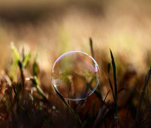 Preview wallpaper bubble, moisture, grass, reflections