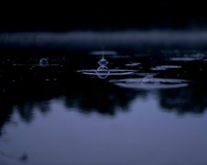 Preview wallpaper bubble, ripples, water, macro, dark