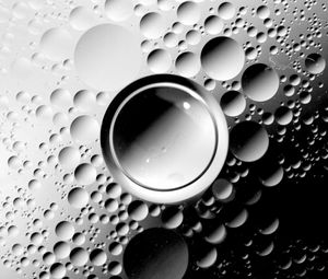 Preview wallpaper bubbles, bw, form, gray, white
