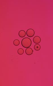 Preview wallpaper bubbles, circles, liquid, abstraction, pink