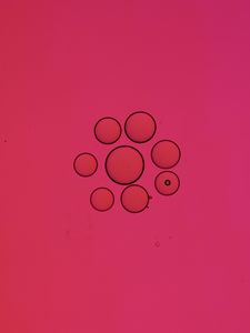Preview wallpaper bubbles, circles, liquid, abstraction, pink
