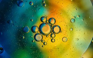 Preview wallpaper bubbles, circles, water, oil, abstraction