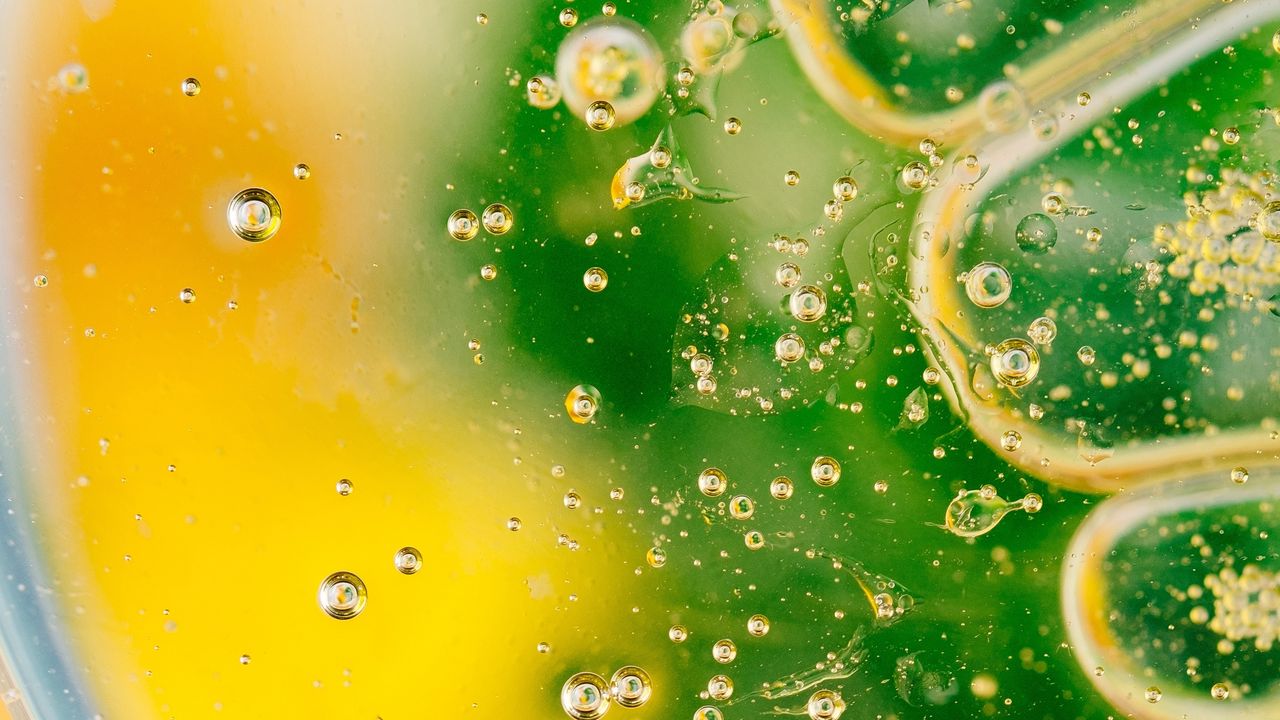 Wallpaper bubbles, gradient, shape, surface, green
