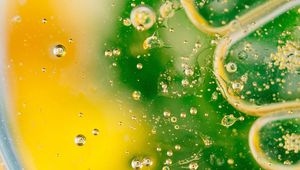 Preview wallpaper bubbles, gradient, shape, surface, green