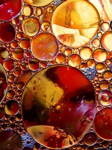 Preview wallpaper bubbles, liquid, circles, macro, close-up