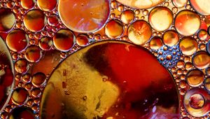 Preview wallpaper bubbles, liquid, circles, macro, close-up