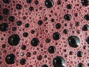 Preview wallpaper bubbles, liquid, foam, macro, texture