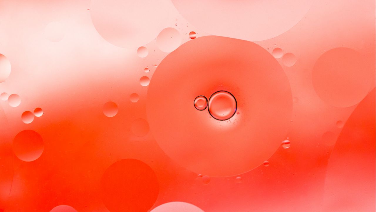 Wallpaper bubbles, liquid, macro, circles