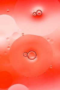 Preview wallpaper bubbles, liquid, macro, circles