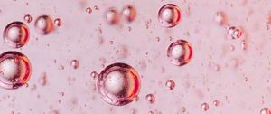Preview wallpaper bubbles, liquid, macro, pink