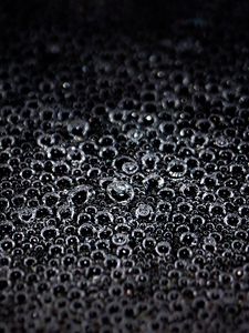 Preview wallpaper bubbles, macro, bw, liquid