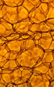 Preview wallpaper bubbles, macro, volume, brown