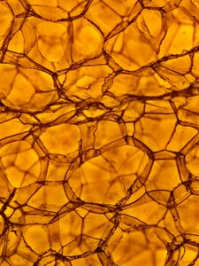 Preview wallpaper bubbles, macro, volume, brown
