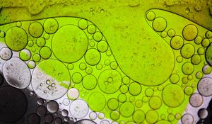 Preview wallpaper bubbles, oil, liquid, macro, green