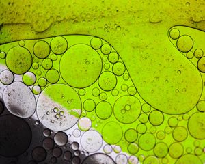 Preview wallpaper bubbles, oil, liquid, macro, green