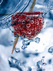 Preview wallpaper bubbles, raspberry, toothpick, close-up