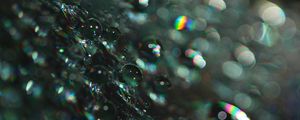 Preview wallpaper bubbles, shine, macro, glare, bokeh