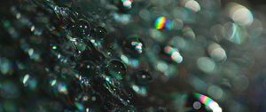Preview wallpaper bubbles, shine, macro, glare, bokeh